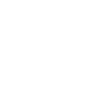 LOGOIPSUM-1.png