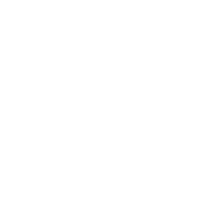 LOGOIPSUM-2.png