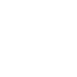 LOGOIPSUM-3.png