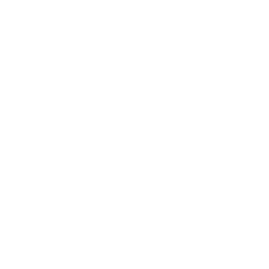 LOGOIPSUM-4.png