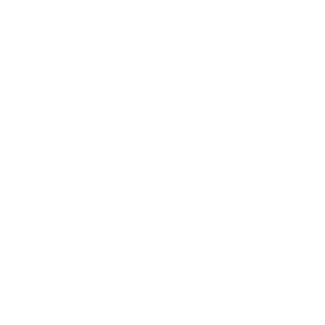 LOGOIPSUM-6.png
