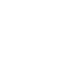 LOGOIPSUM-8.png