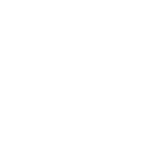 LOGOIPSUM-9.png
